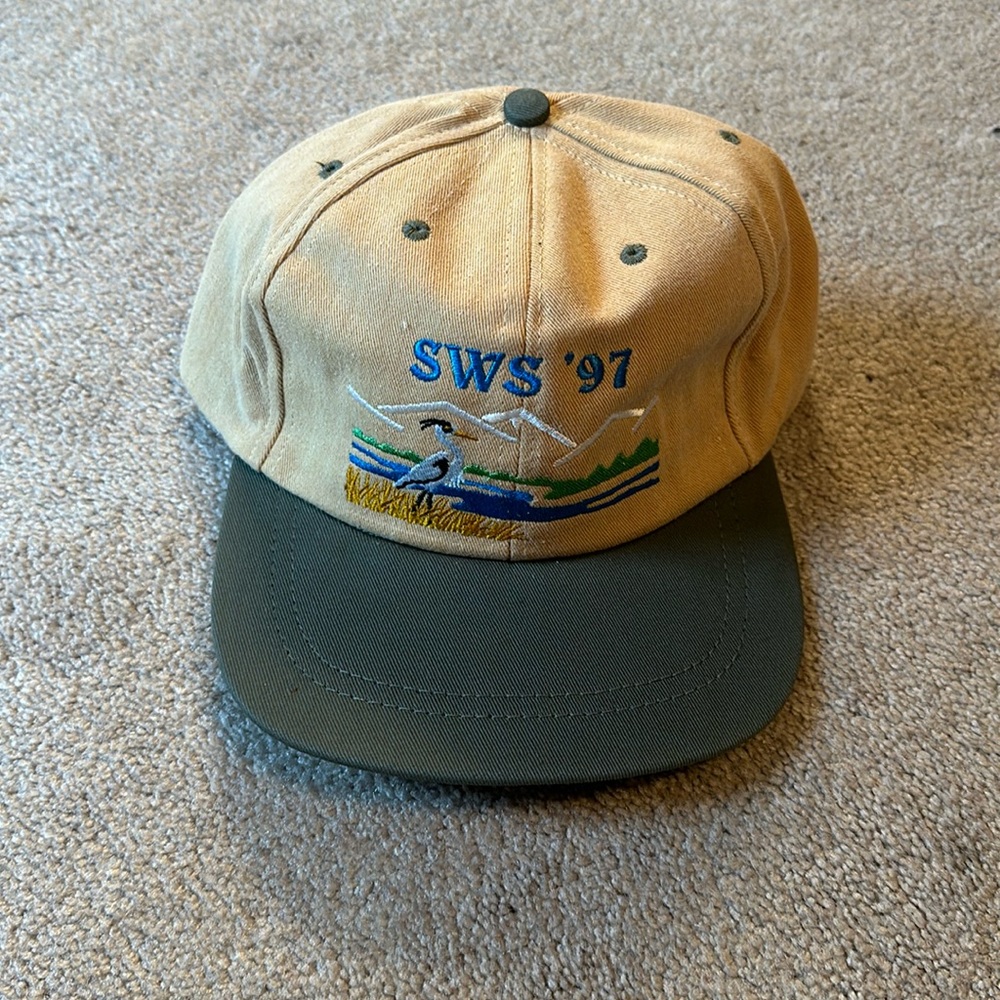Vintage Montana Baseball Hat